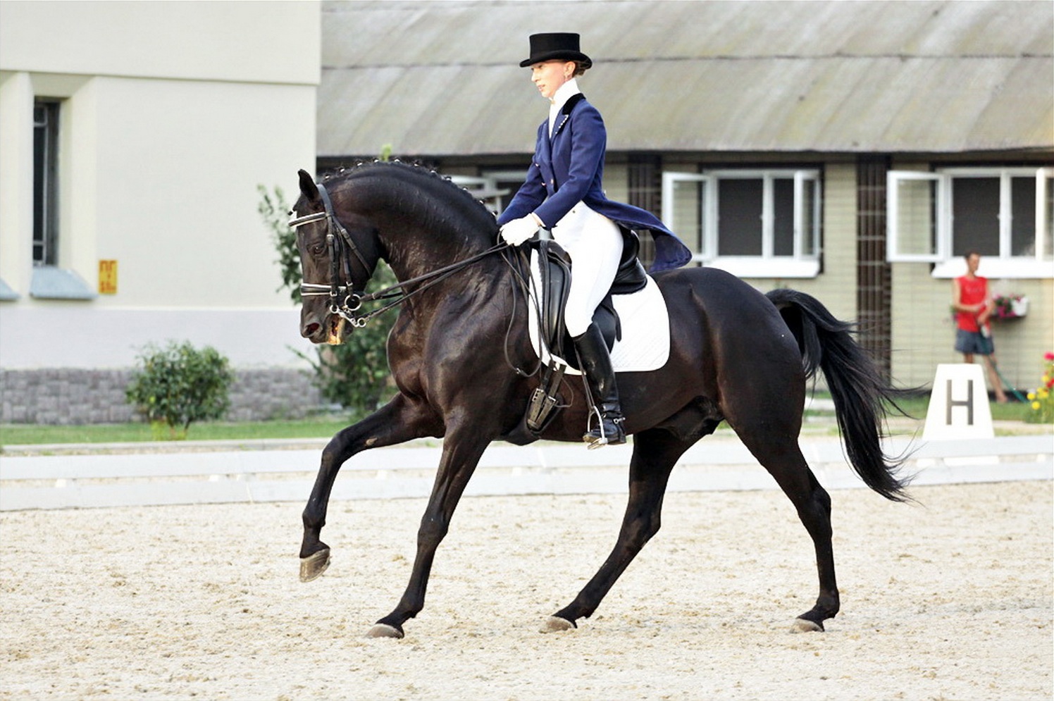 Count Rostopchin Breed History | Orlov-Rostopchin Sporthorse Association